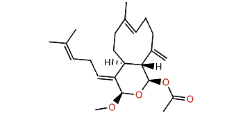 Acalycigorgin D